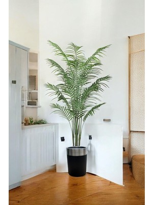 Yapay Ağaç Areka Palmiye Ağacı 180CM Uzun Ömürlü Salon Bitkisi Doğal Görünüm Sunar
