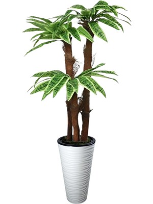 160 cm 3 Gövdeli Yapay Palmıye Yuka Agacı Kumsal Saksı