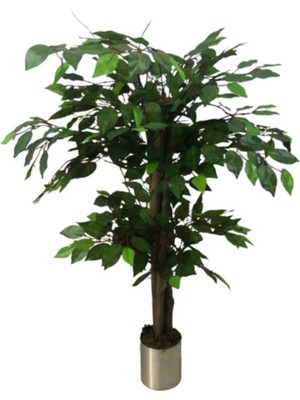 Erhan Flowers 100 cm Metal Saksı Da Benjamjn Agacı