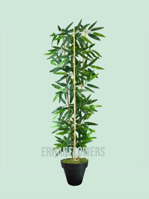 120 cm Bambu Ağacı