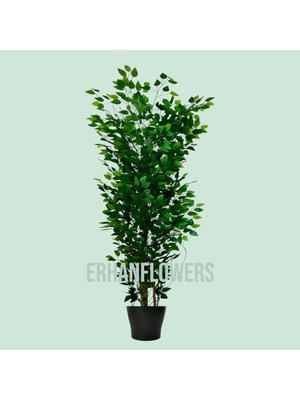 Erhan Flowers Benjamin 160 cm Plastik Saksı