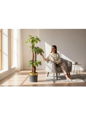 Erhan Flowers Yapay Zebra Yapraklı Yuka Palmiyesi 170 cm 3 Gövdeli Siyah Gold Kemerli