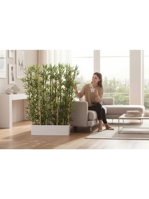 Erhan Flowers Islak Yapraklı Bambu Speratör (150×20×70) 15 Dal Bambulu