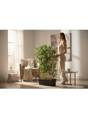 Erhan Flowers 10'lu 120 cm Bambu 50 cm Plastik Saksı