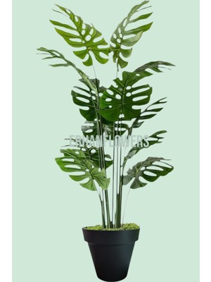 Yapay Ağaç Monstera Deve Tabanı Ağacı 180 cm 16 Yaprak Siyah Plastik Saksıda