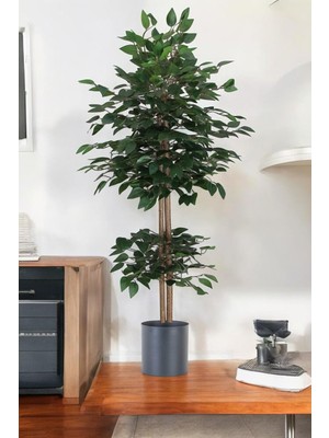 Yapay Benjamin Ağacı Bambu Gövdeli Yeşil (Şık Metal Sıyah Saksılı) 140 cm