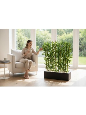 Erhan Flowers 70×20 Antrasit Saksıda 10 Adet 100 cm Bambu