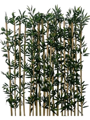 Erhan Flowers 10'lu Bambu 170 cm