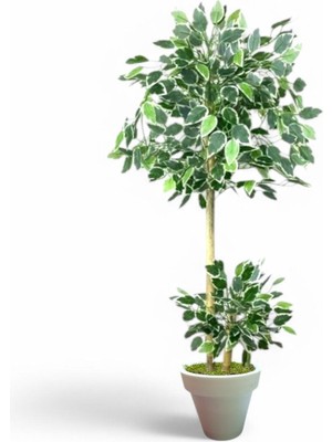 130 cm Ficus Yapay Ağaç Bambu 2 Gövdeli Beyaz Plastik Saksı