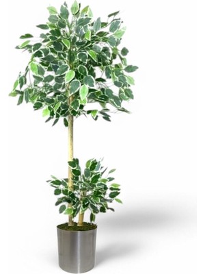 140 cm Ficus Yapay Ağaç Bambu 2 Gövdeli Siyah Metal Saksı