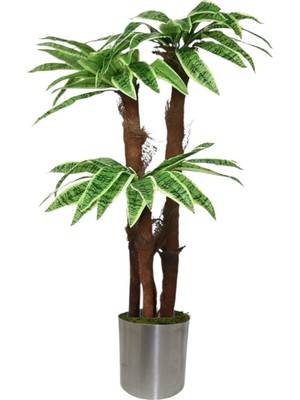 160 cm 3 Gövdeli Yapay Palmıye Yuka Agacı Metal Saksı
