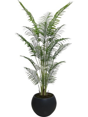 Yapay Areka 3 Gövdeli 180 cm Siyah Gold Saksı