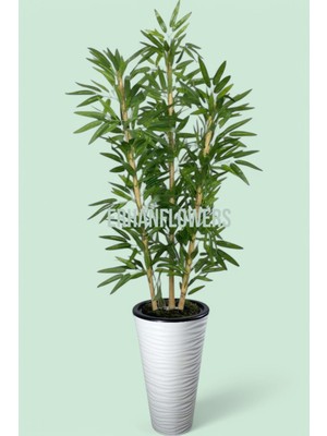 150 cm Islak Doku Bambu Ağaç Kumsal Vazo Saksıda