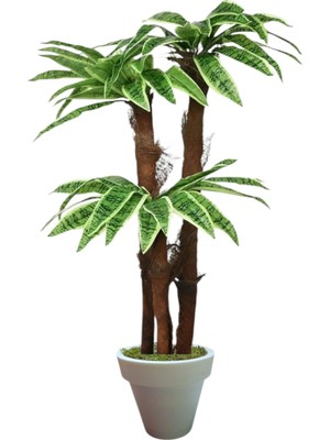 160 cm 3 Gövdeli Yapay Palmıye Yuka Agacı Beyaz Plastik Saksı