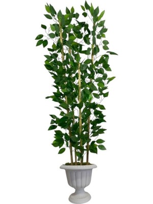 160 cm Benjamin Yapay Ağaç Bambu 5 Gövdeli Nergiz Saksı