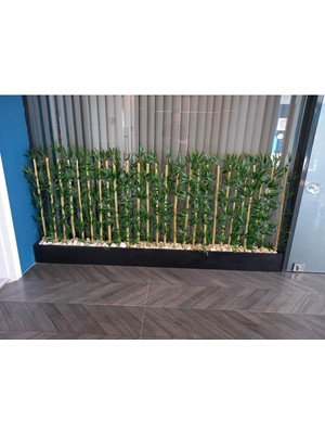 Erhan Flowers 2 mt Saksıda 1 mt Boyunda Bambu Speratör