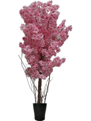 Erhan Flowers Pembe Bahar Dalı 170 cm Plastik Saksı
