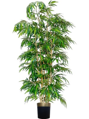 Erhan Flowers Bambu Ağacı 15'li