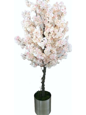 Erhan Flowers Kiraz Çiçeği Ağacı