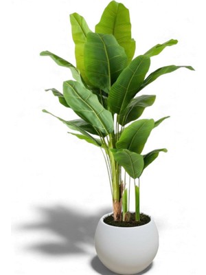 Erhan Flowers Yapay Muz Ağaçı 21 Yaprak Islak Doku Gerçege Yakın Görünüm Siyah Vega Saksı