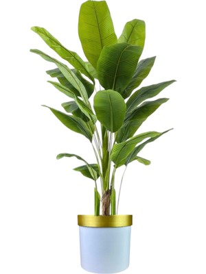 Yapay Ağaç Muz 180 cm Beyaz Plastik Saksı