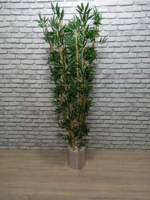 Erhan Flowers Şık Metal Saksıda 180 cm 6 Dal Bambu