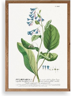 Yazline Global Stupell Ahşap Çerçeveli Tablo 23 x 30