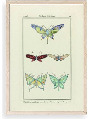 Yazline Global Kelebek Ahşap Çerçeveli Tablo 50 x 70