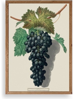 Yazline Global Üzüm Ahşap Çerçeveli Tablo 50 x 70