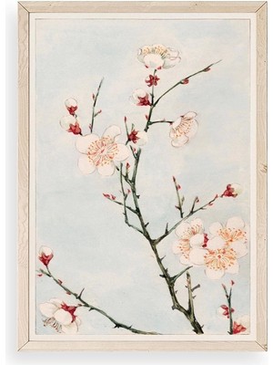 Yazline Global Cherry Blossom Ahşap Çerçeveli Tablo 23 x 30
