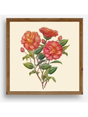 Yazline Global Çiçek Ahşap Çerçeveli Tablo 42 x 42