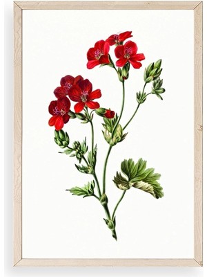 Yazline Global Çiçekler Ahşap Çerçeveli Tablo 23 x 30