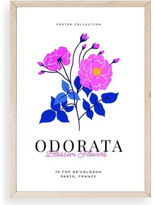 Yazline Global Çiçek Ahşap Çerçeveli Tablo 17 x 23