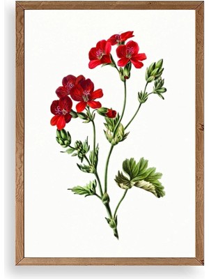 Yazline Global Çiçekler Ahşap Çerçeveli Tablo 30 x 42