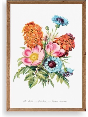 Yazline Global Bahar Çiçekleri Ahşap Çerçeveli Tablo 50 x 70