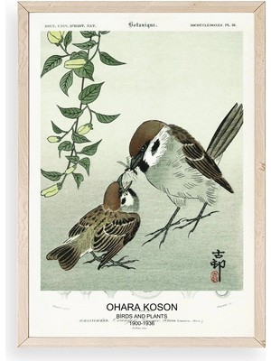 Yazline Global Kuşlar Ahşap Çerçeveli Tablo 30 x 42