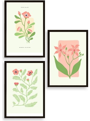 Yazline Global Botanik Üçlü Ahşap Çerçeveli Tablo 30 x 40