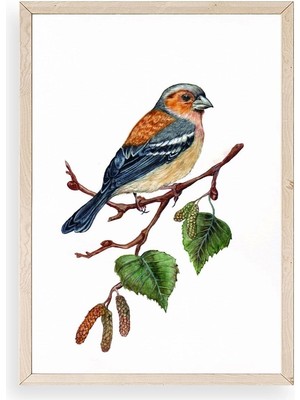 Yazline Global Kuş Ahşap Çerçeveli Tablo 50 x 70