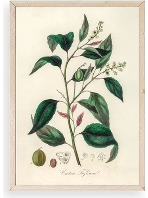 Yazline Global Yaprak Ahşap Çerçeveli Tablo 50 x 70