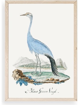 Yazline Global Blaue G. Voyel Ahşap Çerçeveli Tablo 30 x 42