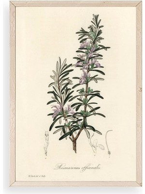 Yazline Global Yaprak Ahşap Çerçeveli Tablo 50 x 70