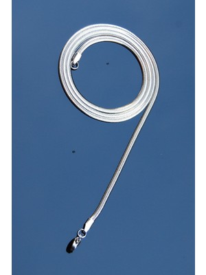 Rua Jewelry Çelik Italyan Yassı Yılan Kolye 3 mm Gümüş Renk | Kararmaz , Unisex , 2 Yıl Garantili