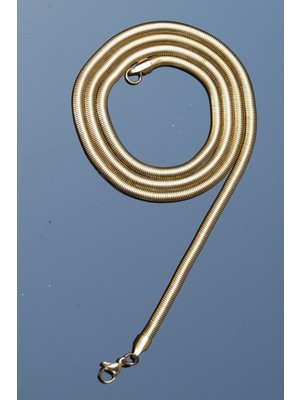 Rua Jewelry Çelik Italyan Yassı Worm Yılan Kolye 4 mm Altın Renk | Kararmaz , Unisex ,2 Yıl Garantili