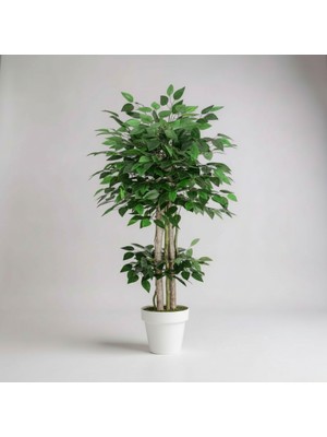 Yapay Benjamin Ağaç Islak Doku Dogal Gövde Beyaz Saksı 140 cm