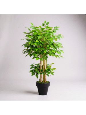 Yapay Benjamin Ağaç Islak Doku Dogal Gövde Siyah Saksı 140 cm