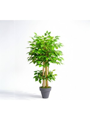 Yapay Benjamin Ağaç Islak Doku Dogal Gövde Siyah Saksı 120 cm