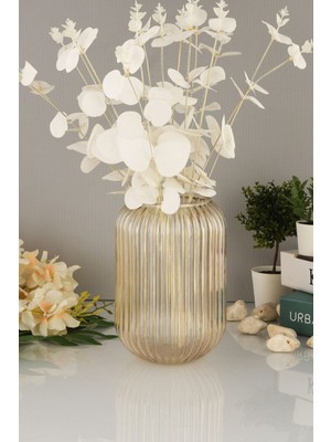 Şeffaf Cam Vazo, Dekoratif Tasarım, 20 Cm, Modern ve Şık Görünüm