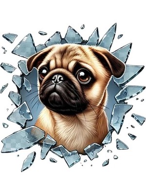 Eco Lounge Fulcar French Bulldog Araç Stickerı