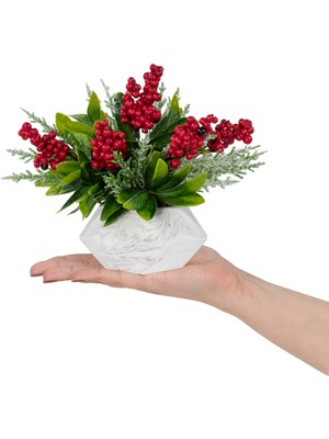 Mermer Görünümlü Saksıda Kış Kokinalı Yılbaşı Çiçeği