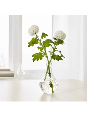 Şeffaf Cam Vazo, 17 Cm, Zarif ve Şık Dekorasyon Parçası